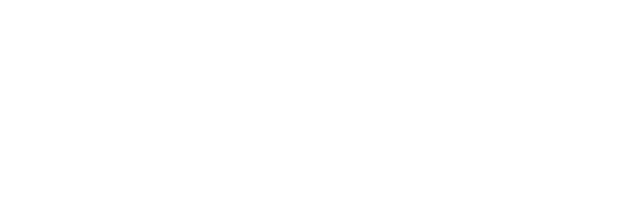 RFG — Rossignol Family Group